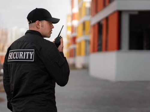 Best Security Guarding Solutions